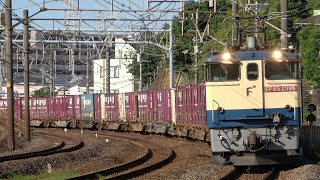 JR貨物 新鶴見機関区所属EF65形2000番台貨物列車 2023年撮影