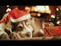 やさしい小さなクリスマス〜 | MIYOKO |