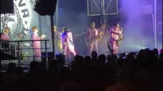 Tokyo Ska Paradise Orchestra Perform 