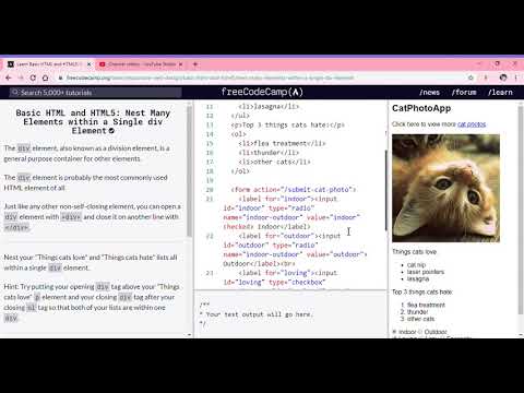 Learn Basic HTML and HTML5  Nest Many Elements within a Single div Element   freeCodeCamp org   Goog
