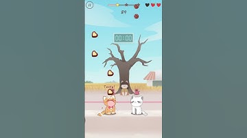 Can Can part 2- Duets Cat - Ginger Bread vs Marshmallow #duetcats #cat #shorts #games #funny