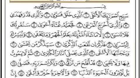 سورة الاعلى تلاوة للشيخ صالح الفوزان
