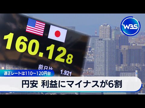 円安 利益にマイナスが6割 適正レートは110～120円台【WBS ...