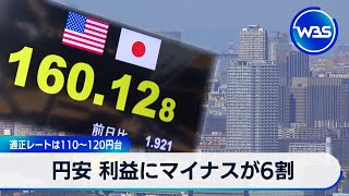 円安 利益にマイナスが6割　適正レートは110～120円台【WBS】（2024年5月17日）