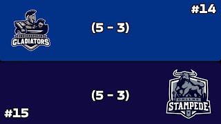 14 Ind Vs 15 Dal round 1  Play In  Playoffs  Axis Football League 
