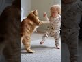 BigAbz.uk2026.     Cat 🐈 training 💪 A Baby 👶  lol 😆.