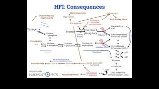 Full Hereditary fructose intolerance and fructose metabolism in 11 minutes Guide