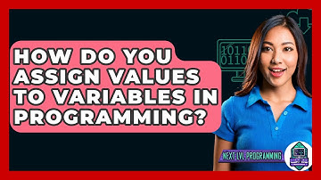How Do You Assign Values To Variables In Programming? - Next LVL Programming