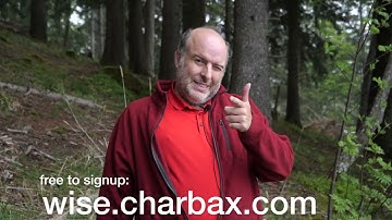 Wise Money Transfer, lowest currency exchange/transfer fees, Much Cheaper than your Bank/Paypal/etc!