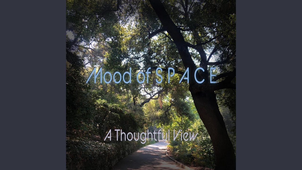 Παρακολούθηση A Thoughtful View στο YouTube