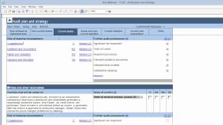 12.20 Audit plan and strategy Lesson 20 Audit Programs