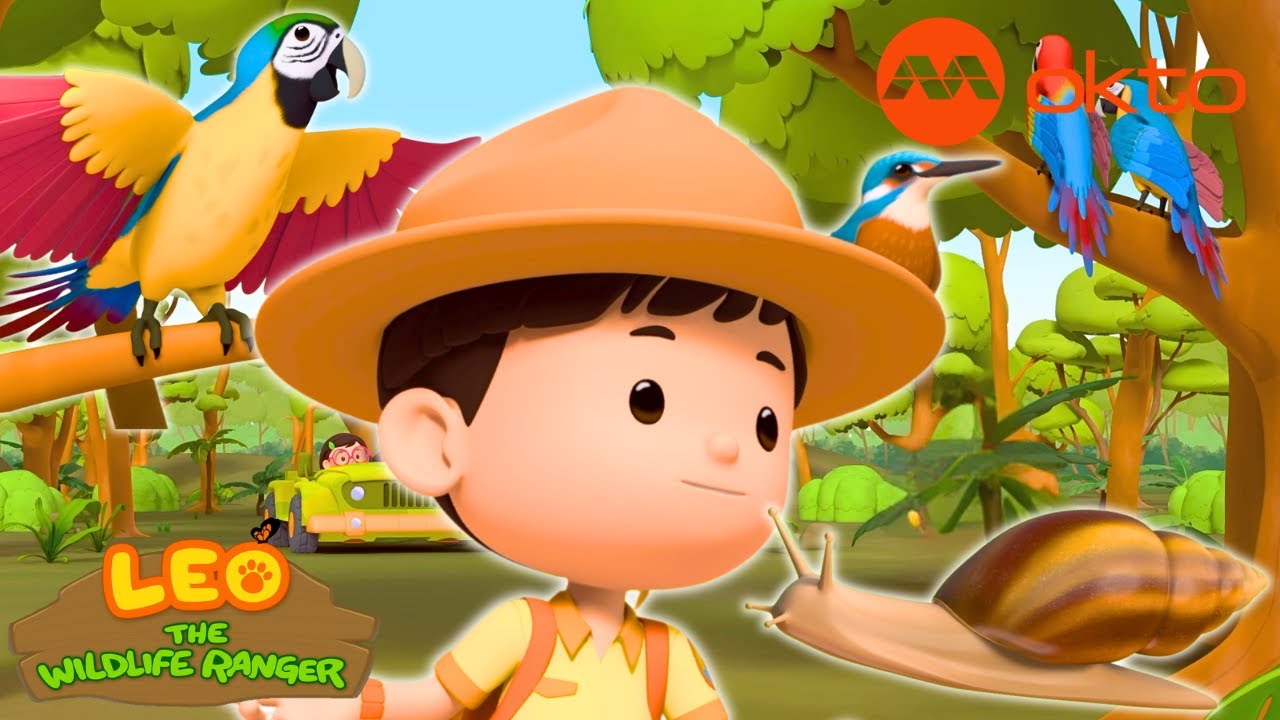 🦜Leo Rescue! SAVE the African Snail, Talking Macaw & Kingfisher!🐠 | Leo Compilation | @mediacorpokto