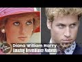 10 Times Prince Harry and William Looked Like Princess Diana