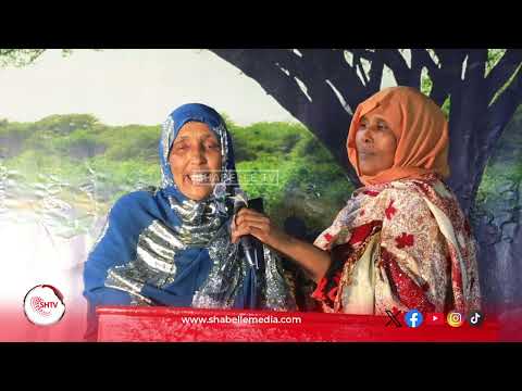 Hoteeladda Dhan Waxaa Lagu Yiri Habargidir Kuuma Imaan Karaan Oo Hotel Kaaga Kuma Xaliimo Yuusuf 