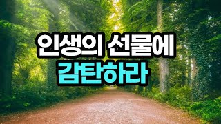 하루에 한 걸음씩 단순하게 조금 더 행복해지는 습관 / 딱 한 걸음의 힘