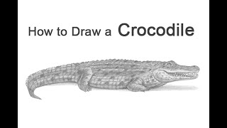 How to Draw a Crocodile