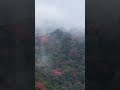 Capital of Rhododendrons.     Tinjure               #explore #travel