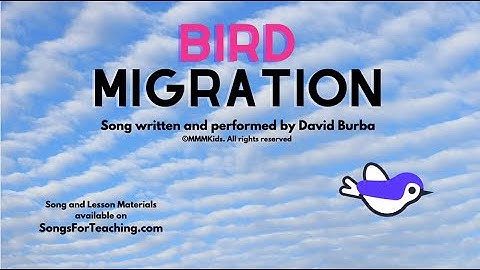 Bird Migration written and performed by Dave Burba for MMMKids