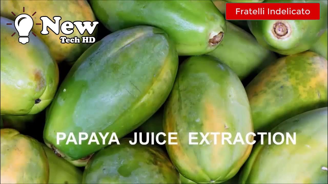 How To Extracting Juice From Fruits YouTube
