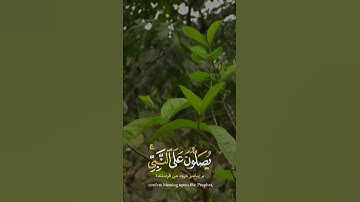 " أن الله وملائكته يصلون على النبي يأيها الذين ءامنوا صلوا عليه وسلموا تسليما " #سورة_الكهف