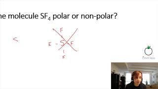 sf4 polar or nonpolar