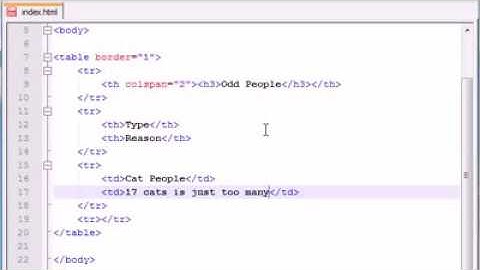XHTML and CSS Tutorial   13   colspan   Annoying People