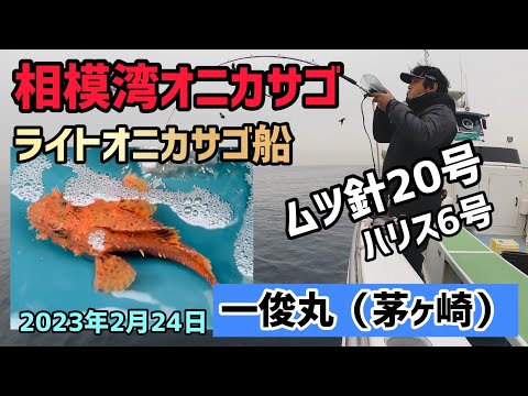 鬼カサゴ LQIQWUH67FI73BSI22ZLHIJD6Q.jpg