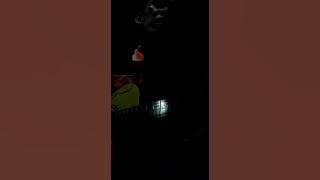 Febian Benang Emas || (cover Ardhie)