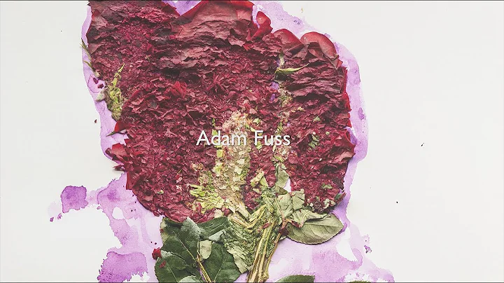 The artist Adam Fuss talking about how to capture ...