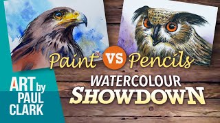 How to Paint an Owl and Hawk - Watercolour Pencils vs Watercolour Paint