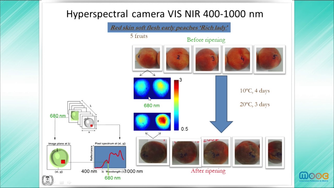 MOOC Frutura technlologies 5.2: Multispectral and hyperspectral vision (II) politécnica slp
