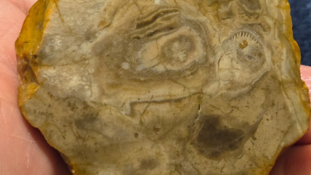 Cutting Cold Water Agates and Chert Nodules