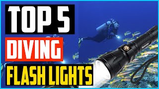 Top 5 Best Diving Flash Lights in 2020 – Reviews