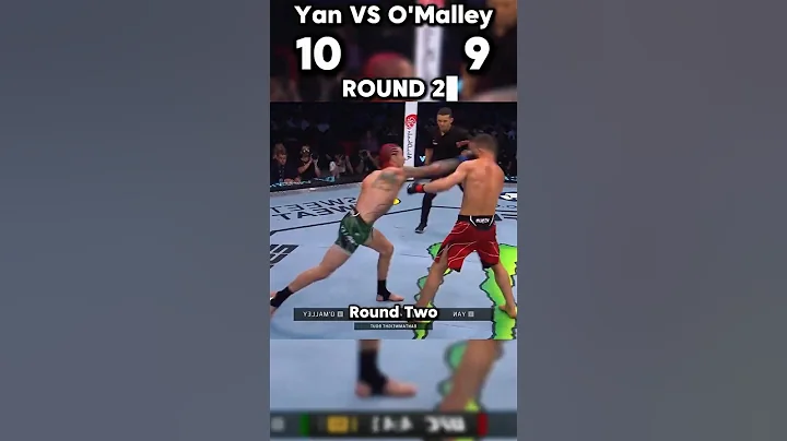 Did Sean O'Malley Rob Petr Yan? #ufc