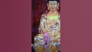 Cảnh nổi bật từ buổi phát trực tiếp