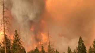 Tourists are evacuating yosemite national park in california due to
dangerous conditions created by the nearby ferguson fire, which has
burned roughly 38,000...