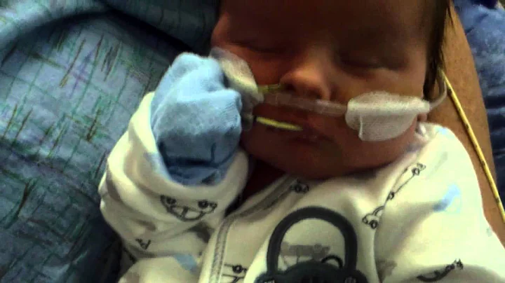 Joseph Goodwin, Day 34