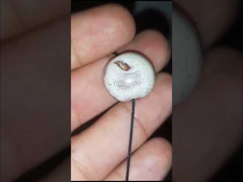مجسمه مفرقی عقاب مهره