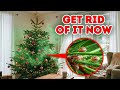 If Your Christmas Tree Smells Weird, Act Fast