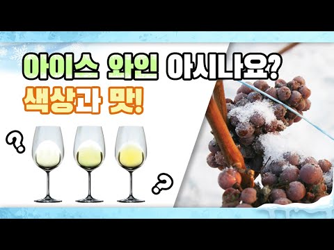 아이스 와인 아시나요? 색상과 맛!!