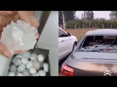 Egg-sized hailstones damage crops, cars in N China