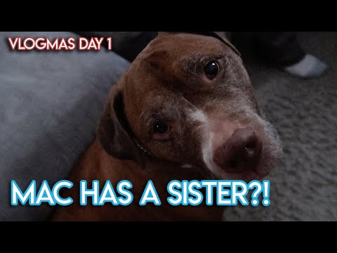 MAC HAS A SISTER | Dec 1