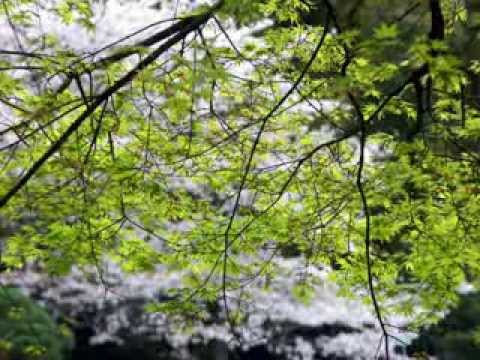 《山歌》 笛子独奏 -民乐伴奏