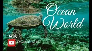 The Amazing Ocean World: Sharks🦈, Turtles🐢and Dolphins🐬 Like Never Before!