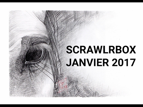 [Unboxing] Scrawlrbox janvier 2017 | #ScrawlrChallenge : Nature's eye