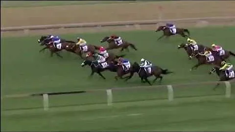 2016.11.26 Magnolia Handicap (RSA) - Green Pepper