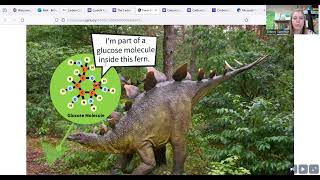 Carbon Cycle Game Instructions