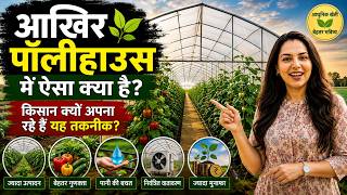 What's So Special About Polyhouses Why Are Farmers Adopting This Technique #polyhouse #modernfa...