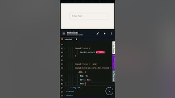 Floating Label Input Field – Easy CSS Animation Tutorial! 🚀