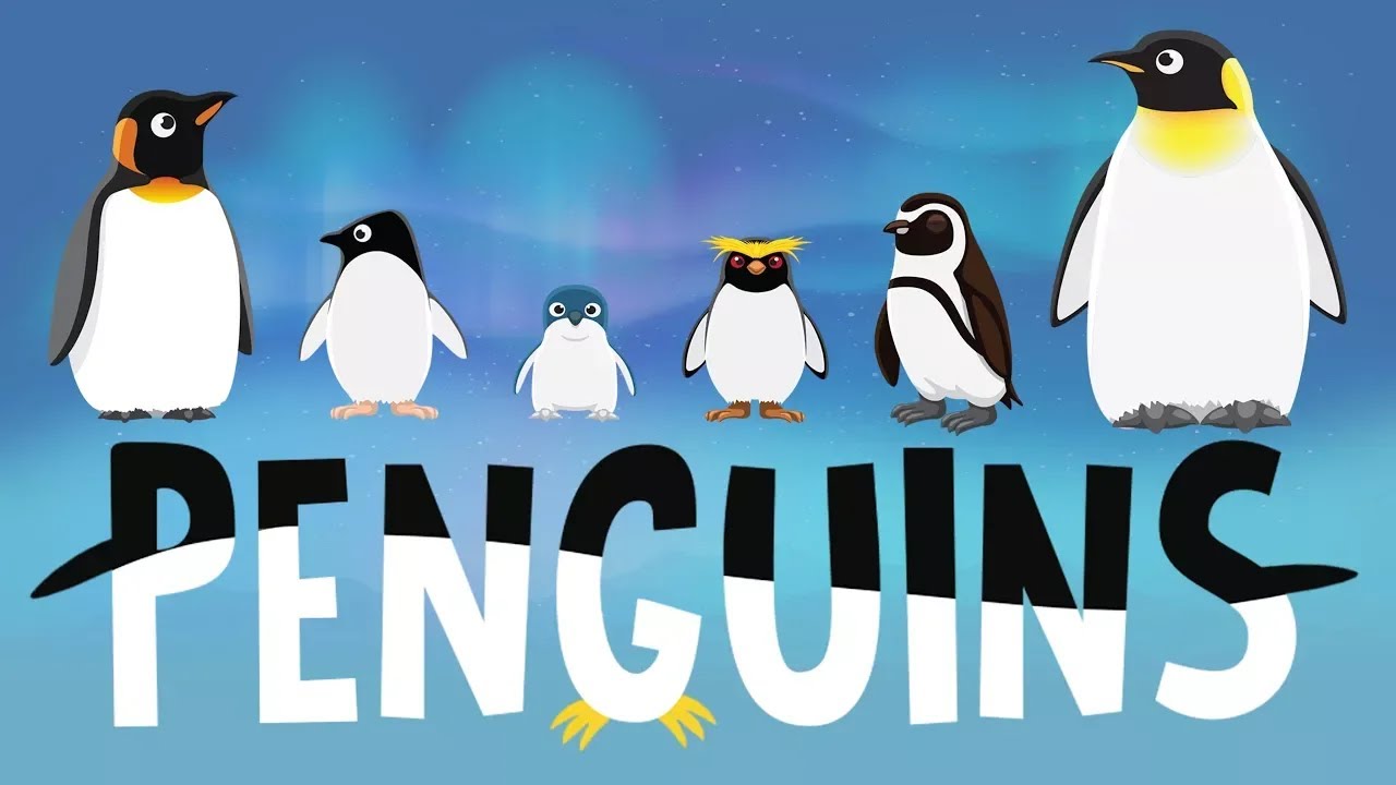 all about penguins